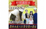 【令和5年産米】特別栽培米 はえぬき 精米 2kg×4袋 山形県庄内産 F2Y-3130