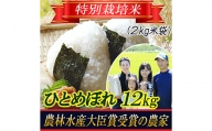【令和5年産米】特別栽培米 ひとめぼれ 精米2kg×6袋 山形県庄内産 F2Y-3139