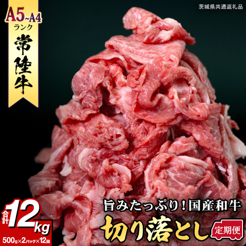 【定期便】 全12回 【 常陸牛 】 切り落とし 1kg (茨城県共通返礼品) 国産 切落し 焼肉 焼き肉 お肉 A4ランク A5ランク ブランド牛 小分け [BX89-NT] 433425 - 茨城県つくばみらい市