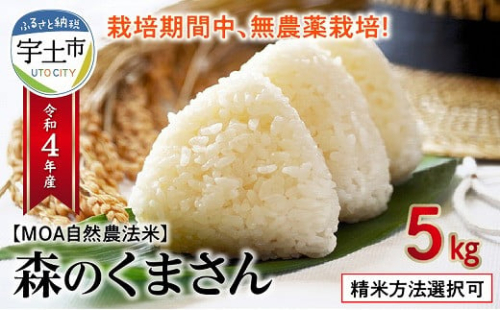 70-245-5 カワノ農園 令和4年産米 無農薬栽培!MOA自然農法米「森のくまさん」玄米5kg 433469 - 熊本県宇土市