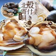 ホッキ貝（貝付き）（冷蔵）【060006】