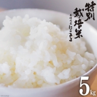 米 特別栽培米 にこまる 5kg [サンクスラボ 長崎県 雲仙市 item1334] 精米 お米 白米 ごはん 美味しい 5キロ