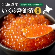 北海道産 いくら醤油漬（冷凍）２５０ｇ×２パック入り　１０セット【060022】