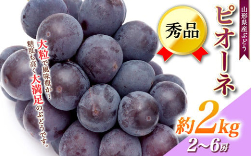 《2023年先行予約》ぶどう「ピオーネ」秀品 2〜6房(約2kg) FSY-0044 433877 - 山形県山形県庁
