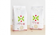 2022年11月発送開始『定期便』川西町産特別栽培米「つや姫」精米4kg(2kg×2袋)全6回【5087176】