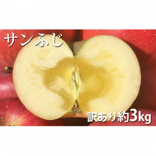 長野市産サンふじ約3kg訳あり(8-13玉)