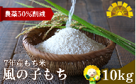 [令和7年産もち米] 風の子もち 10kg 北海道 北竜町産 /もち米 [sun408-mochi-10-R7]