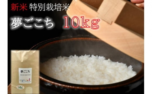 【1-271】（新米）夢ごこち（特別栽培米）10kg