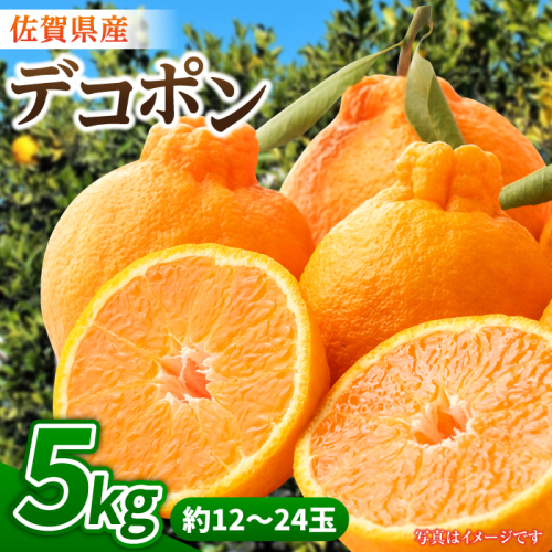 【1月中旬〜3月下旬発送】佐賀県産 みかん「デコポン」5kg 吉野ヶ里町/リエンサーク [FCC007] 435589 - 佐賀県吉野ヶ里町