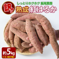 《 訳あり 》飯尾農園 熟成 紅はるか 約5kg 芋 いも さつまいも サツマイモ 鹿児島県産 国産 長島町産 べにはるか 熟成【飯尾農園】miio-874