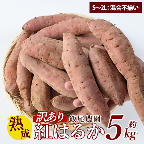 《 訳あり 》飯尾農園 熟成 紅はるか 約5kg 芋 いも さつまいも サツマイモ 鹿児島県産 国産 長島町産 べにはるか 熟成【飯尾農園】miio-874 435667 - 鹿児島県長島町