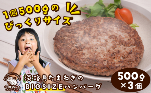 淡路島たまねぎのBIG SIZEハンバーグ 500g×3個 435830 - 兵庫県淡路市