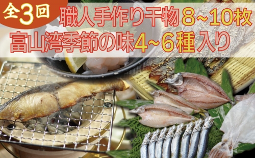 年間3回定期便 ホタルイカ 白えび 氷見ぶり 季節の味と熟練職人手捌きの一夜干真空パックセット 富山県氷見市 Au Pay ふるさと納税