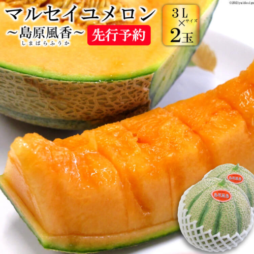 BD201【令和8年度出荷分】マルセイユメロン～島原風香～（3L×2玉） [農事組合法人　『舞岳の里』生産組合 長崎県 島原市 BD201] メロン 赤肉 果物 くだもの フルーツ 産地直送 435926 - 長崎県島原市