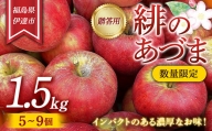 【数量限定】りんご 贈答用 緋のあづま 1.5kg（5〜9個） リンゴ 林檎 フルーツ 果物 F20C-622