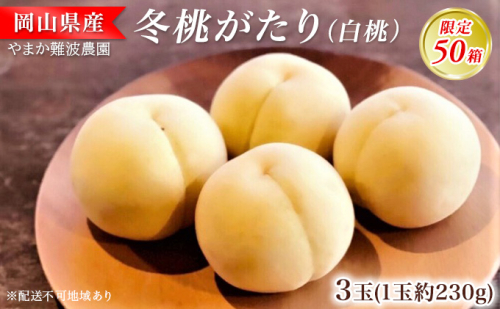 【限定50箱】冬桃がたり（白桃）約230g×3玉 桃 岡山 フルーツ 果物 先行予約 数量限定 期間限定 里庄町 モモ もも  436101 - 岡山県里庄町