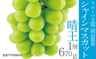 シャインマスカット 晴王 1房 約670g 岡山県産 葡萄 ぶどう 果物 フルーツ 2023年 先行予約
