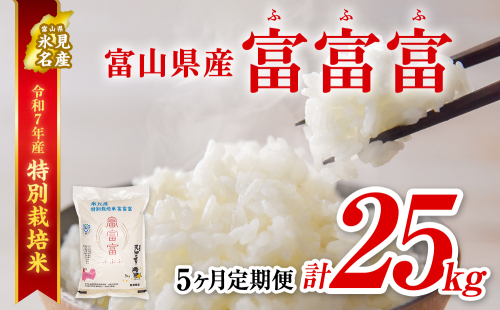 〈5ヶ月定期便〉令和7年産 富山県産 特別栽培米 富富富５kg 436514 - 富山県氷見市