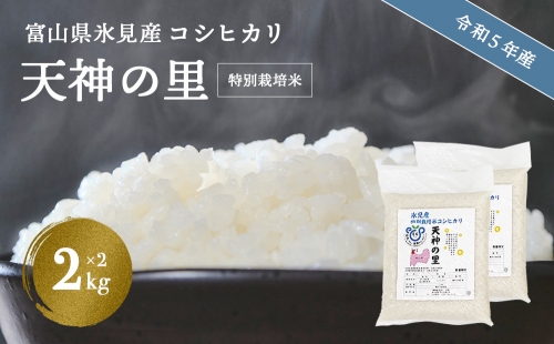 令和5年産 富山県産特別栽培米 コシヒカリ 天神の里２kg×２ 436597 - 富山県氷見市