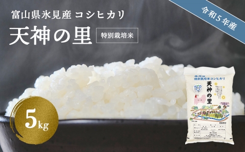 令和5年産 富山県産 特別栽培米 コシヒカリ 天神の里 ５kg  436598 - 富山県氷見市