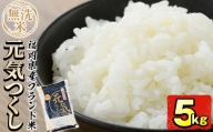 福岡県産ブランド米「元気つくし」無洗米(5kg)お米 5キロ ごはん ご飯【ksg0377】【朝ごはん本舗】