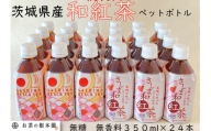 No.174 さしま和紅茶ペットボトル ／ 無糖無香料 ペットボトル飲料 茨城県