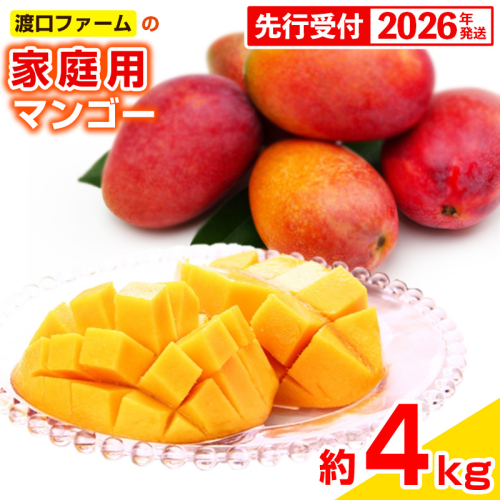 【先行受付】【2026年発送】渡口ファームの家庭用マンゴー約4kg - 先行予約 沖縄 産地直送 南国フルーツ 旬の味覚 家庭用 ご自宅用 大容量 4キロ オススメ 沖縄県 八重瀬町 437262 - 沖縄県八重瀬町