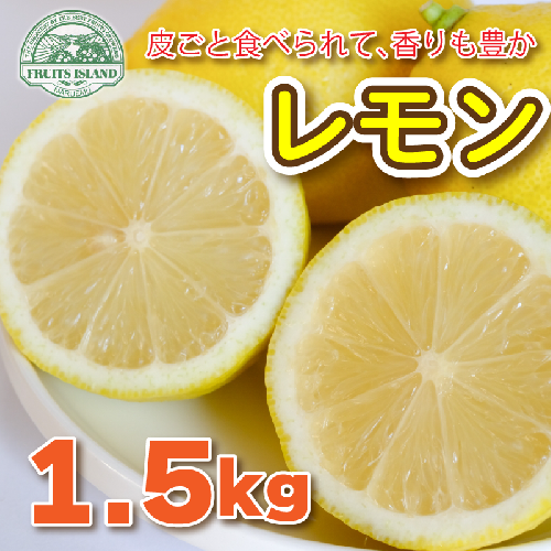 フルーツアイランド・マルエム直販のレモン 1.5kg 437264 - 愛媛県愛南町