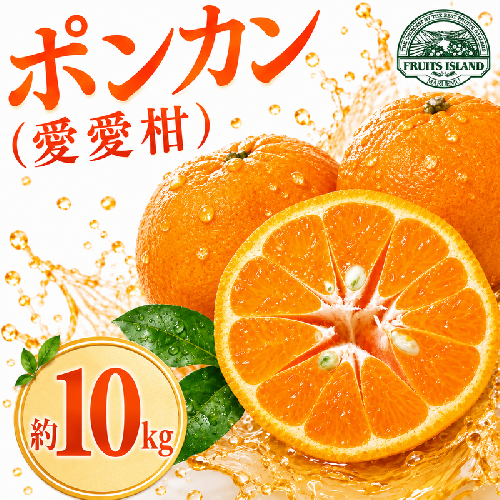 【先行予約】  ポンカン 約10kg 愛愛柑 15000円 ぽんかん みかん 蜜柑 果物 くだもの 果実 柑橘 ミカン mikan フルーツ ゼリー ジュース 甘い ジューシー デザート ブランド 特産品 国産 産直 産地直送 ビタミン 美容 健康 糖度 愛媛県 愛南町 437267 - 愛媛県愛南町
