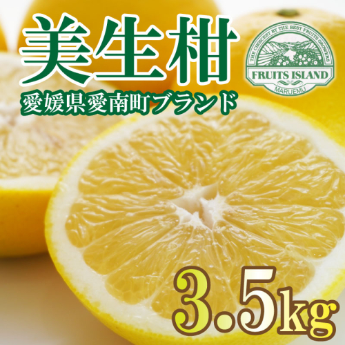 フルーツアイランド・マルエム青果の美生柑(みしょうかん) 3.5kg (なくなり次第終了) 437270 - 愛媛県愛南町