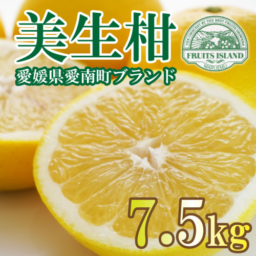フルーツアイランド・マルエム青果の美生柑(みしょうかん) 7.5kg (なくなり次第終了) 437271 - 愛媛県愛南町