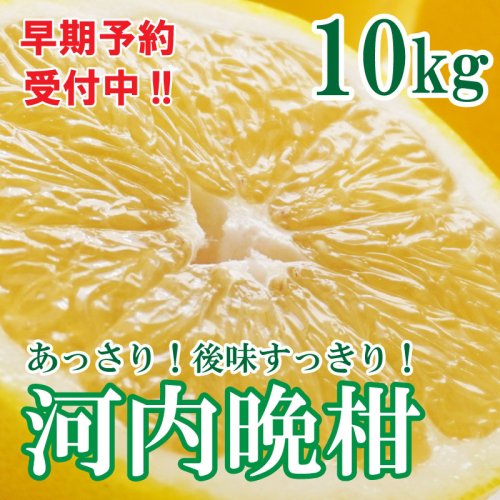 フルーツアイランド・マルエム青果の河内晩柑 10kg (なくなり次第終了) 437277 - 愛媛県愛南町