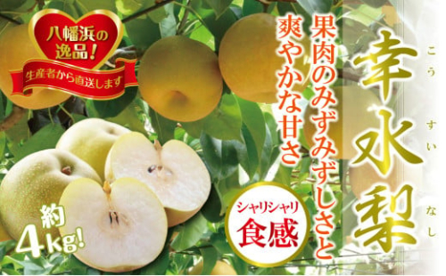 八幡浜の梨、果汁たっぷり!!「幸水」約4キロ＜C39-40＞【1316573】 437351 - 愛媛県八幡浜市