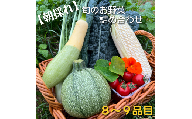 DT-3 【朝採れ】旬のお野菜8～9品目詰め合わせ／Lサイズ