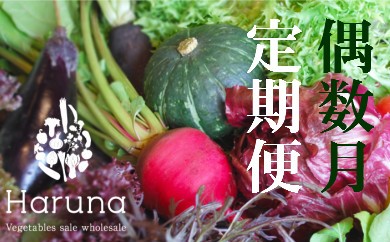 野菜【偶数月】定期便 香南市のお野菜詰め合わせコース M-10 4374 - 高知県香南市