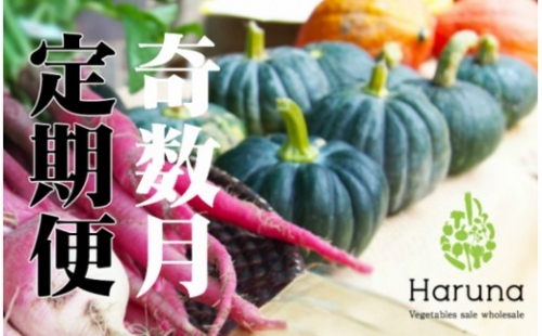 野菜【奇数月】定期便 香南市のお野菜詰め合わせコース M-11