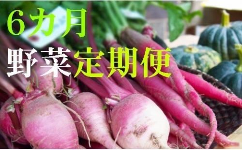 野菜【６カ月】定期便 香南市のお野菜詰め合わせコース M-12 4376 - 高知県香南市