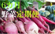 野菜【６カ月】定期便 香南市のお野菜詰め合わせコース M-12
