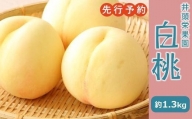 先行予約[約1.3kg]井頭栄果園 白桃 (2024年度発送)