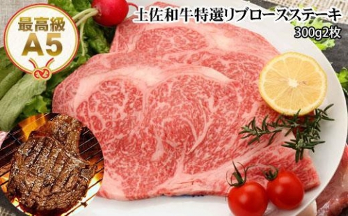 土佐和牛A5特選リブロースステーキ300g×2枚セット 牛肉 和牛ステーキ肉 438318 - 高知県高知市