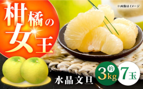 高知県産 水晶文旦 約3kg 7玉入 〈2024年9月～発送〉 【株式会社　四国健商】 [ATAF031]柑橘の女王　柑橘 かんきつ 甘い 酸っぱい 