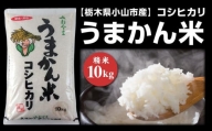 12回 米 定期便 】 梨北米 コシヒカリ 5kg×12回 総計60kg / 梨北農業