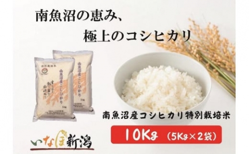 南魚沼産コシヒカリ特別栽培米　白米　10kg