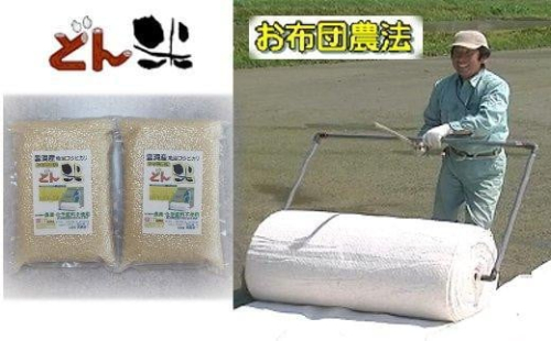 【頒布会】お布団農法 雲洞産魚沼コシヒカリ「どん米」精米真空パック４kg 年６回(隔月) 441171 - 新潟県南魚沼市