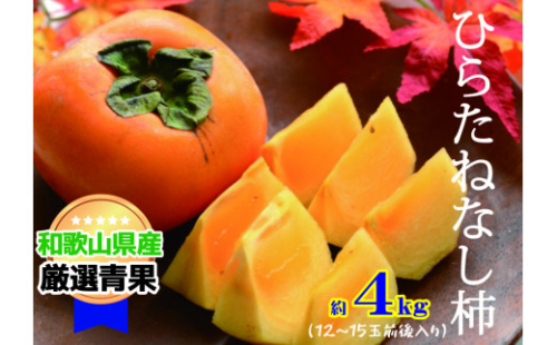 【甘みが自慢】 たねなし柿 約4kg 【10月上旬から11月上旬頃発送】