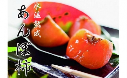 お茶に合う、甘くて冷たい「あんぽ柿(氷温熟成)」 441580 - 和歌山県かつらぎ町