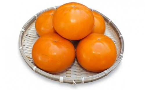 JK-01 大きくて甘い柿 「輝太郎(きたろう)」(3kg) 44168 - 鳥取県大山町
