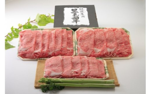 【AB127】長崎和牛 リブローススライス 880g 441847 - 長崎県長崎県庁