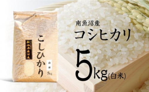 【令和7年産 新米予約】南魚沼産コシヒカリ（白米）【5kg】【令和7年10月中旬以降発送】【米 お米 こしひかり 南魚沼 米 白米 こめ 新潟 米】