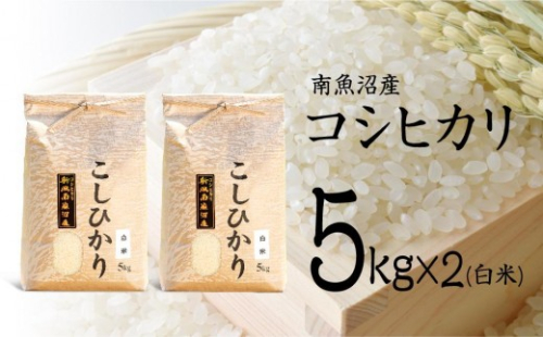 【令和7年産】南魚沼産コシヒカリ（白米）【5kg×2】【銘柄米 ブランド米 精米 こしひかり コシヒカリ 魚沼産 新潟米 産地直送 お米 米 こめ コメ ご飯 御飯 ごはん】 442181 - 新潟県南魚沼市